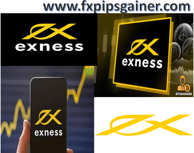 Everything You Need to Know About Exness MT5Real
