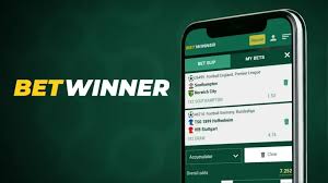 Experience the Thrill of BetWinner Casino and Sportsbook Experience the Thrill of BetWinner Casino and Sportsbook