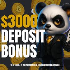 Bitfortune Payment Methods Comprehensive FAQs